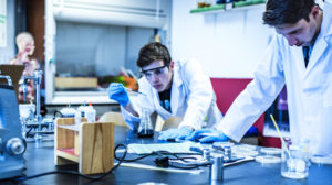 Scientists doing laboratory reserach